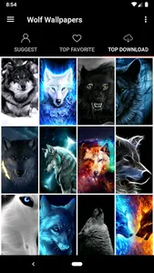 Wolf Wallpapers Offline screenshot 1