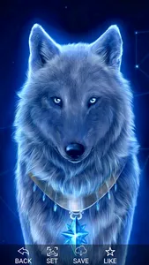 Wolf Wallpapers Offline screenshot 3