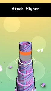 Toilet Paper Cake screenshot 8