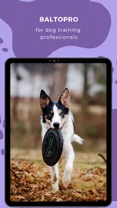BaltoPro Dog trainer assistant screenshot 14