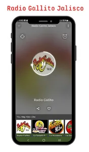 Radio  Gallito jalisco mexico screenshot 13