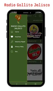 Radio  Gallito jalisco mexico screenshot 8