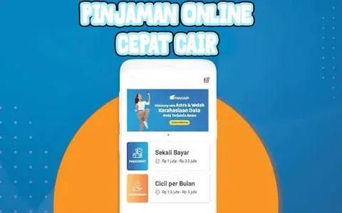 Pinjol Langsung Cair Panduan screenshot 6