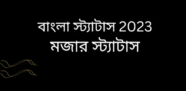 মজার বাংলা স্ট্যাটাস ২০২৩ screenshot 7
