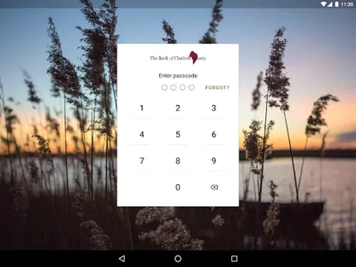 Bank of Charlotte Mobile screenshot 4
