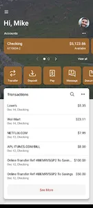 BankSanJuans screenshot 1