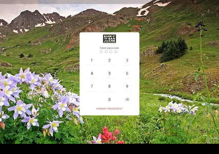 BankSanJuans screenshot 7