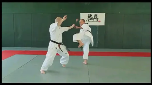 Kyokushin - FREE screenshot 4