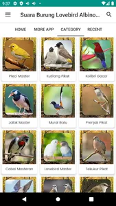 Suara Burung Lovebird Albino screenshot 1
