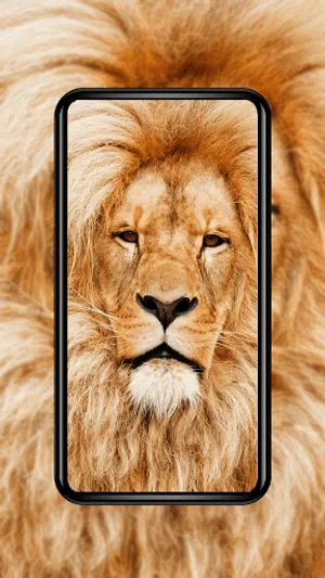 WaPy – 4K, HD Stock Wallpapers screenshot 10