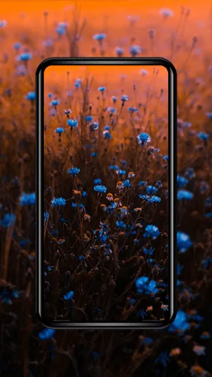 WaPy – 4K, HD Stock Wallpapers screenshot 12