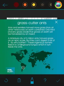 BBC Earth Colouring screenshot 14
