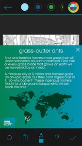 BBC Earth Colouring screenshot 9