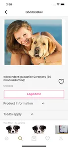 petgraduate screenshot 2