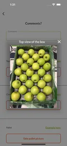 Fructus Collector CN screenshot 4