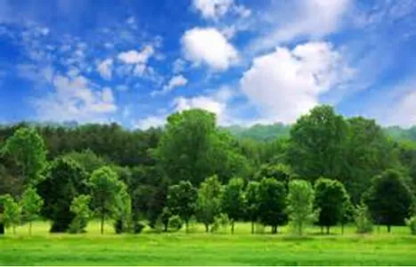 beautiful landscapes screenshot 4