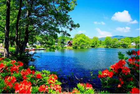 beautiful landscapes screenshot 6