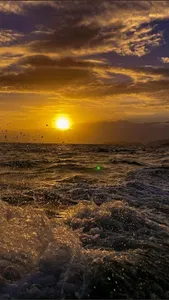 Sunset Beach Wallpapers screenshot 2