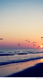 Sunset Beach Wallpapers screenshot 6