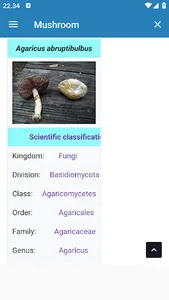Edible Mushroom Types screenshot 0