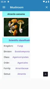 Edible Mushroom Types screenshot 3