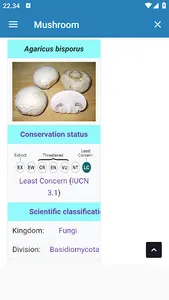 Edible Mushroom Types screenshot 9