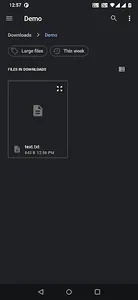File Preview - View all format screenshot 3