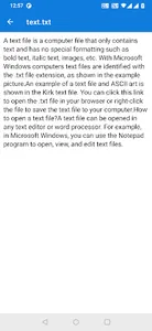 File Preview - View all format screenshot 4