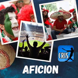 Cris Beisbol Latino screenshot 11