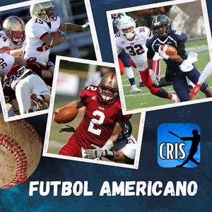 Cris Beisbol Latino screenshot 6