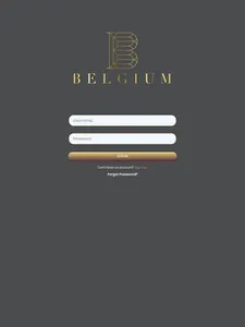 Belgium NY LLC screenshot 4
