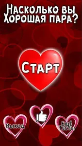 Тест: Насколько вы хорошая пар screenshot 8