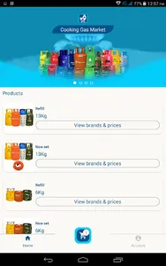 Cooking Gas Market screenshot 8