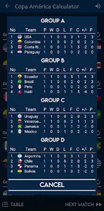 Copa América Calculator screenshot 5