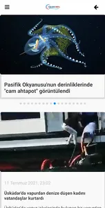 Türk Deniz Medya screenshot 0