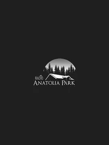 Radio Anatolia Park screenshot 7