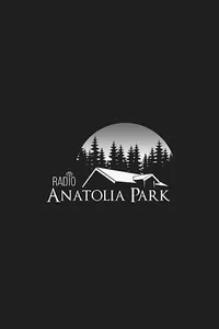 Radio Anatolia Park screenshot 8