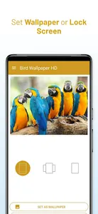 Bird Wallpaper HD screenshot 3