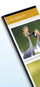 Bird Wallpaper HD screenshot 5