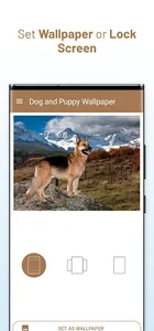 Dog and Puppy Wallpaper screenshot 13