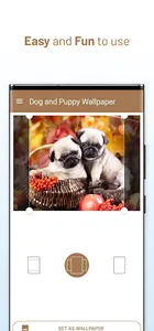 Dog and Puppy Wallpaper screenshot 7