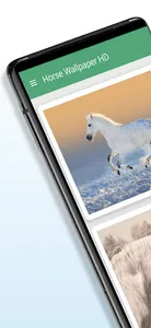 Horse Wallpaper HD screenshot 0