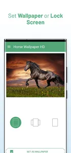 Horse Wallpaper HD screenshot 13