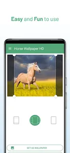 Horse Wallpaper HD screenshot 2