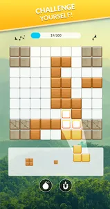 Block Puzzle screenshot 2