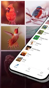 Bird Calls, Sounds & Ringtones screenshot 0