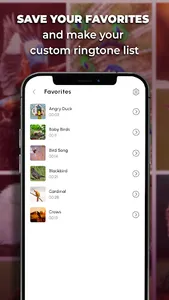 Bird Calls, Sounds & Ringtones screenshot 3