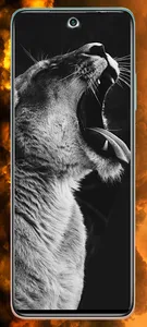 Xiaomi 10T lite HD wallpapers  screenshot 5