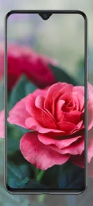 New HD wallpapers for vivo S7E screenshot 3