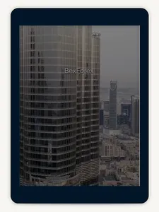 BexForex screenshot 12